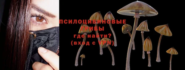 дурь Армянск